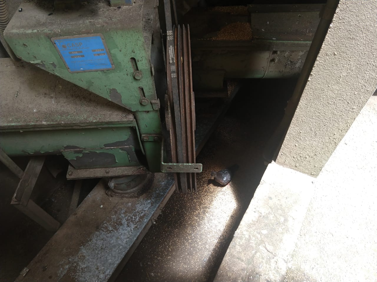 WhatsApp Image 2019-02-18 at 13.52.11 (1).jpeg