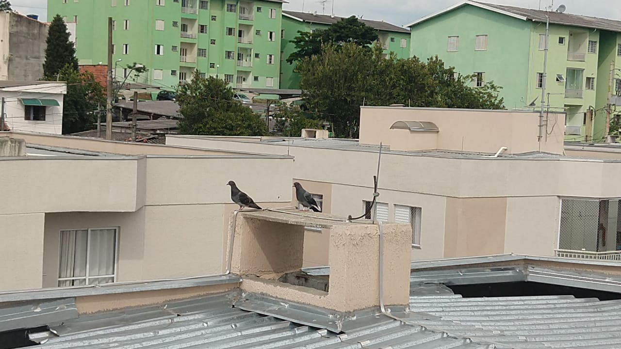 WhatsApp Image 2018-10-31 at 15.12.05.jpeg