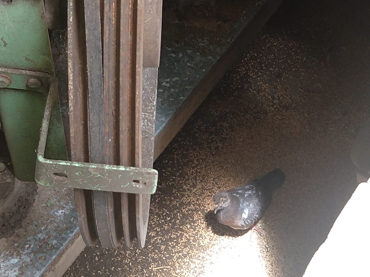 WhatsApp Image 2019-02-18 at 13.52.18 (1).jpeg