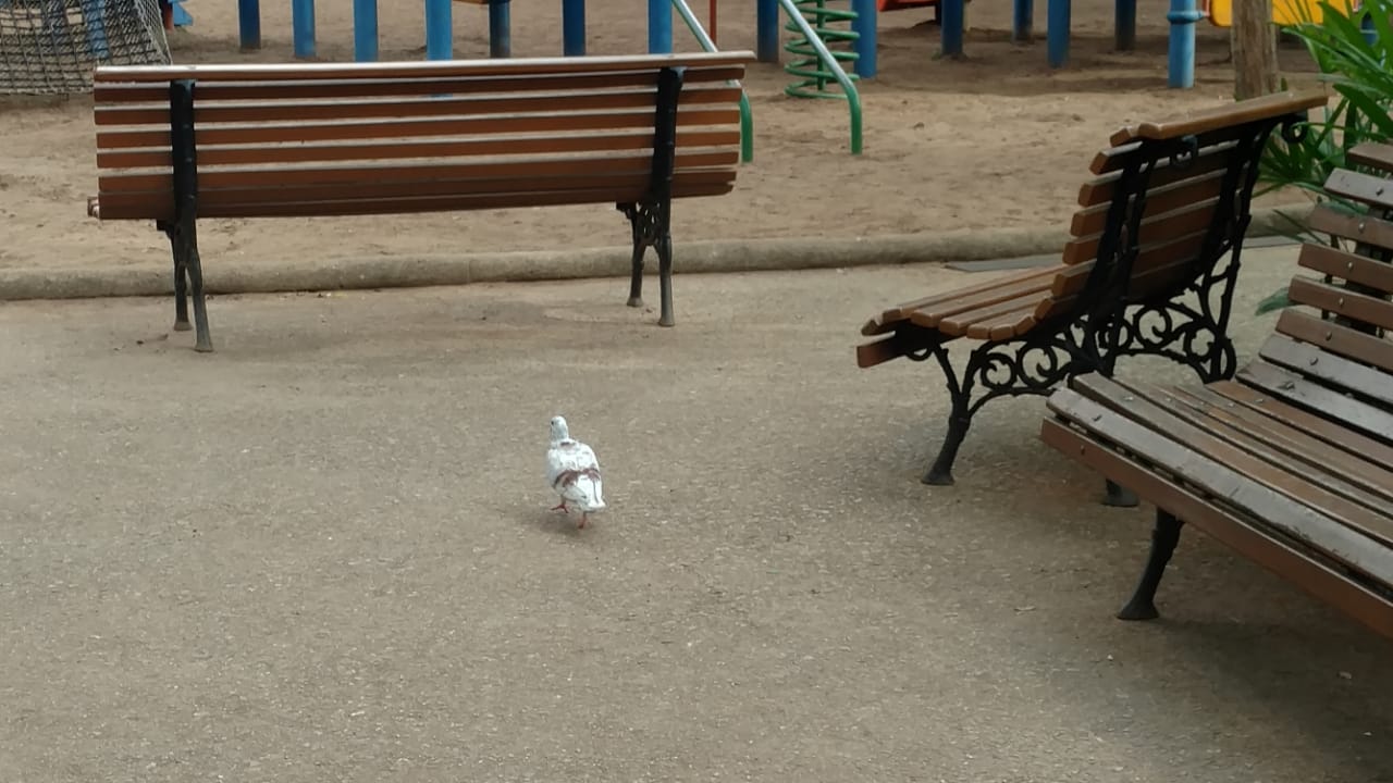 WhatsApp Image 2019-04-17 at 17.05.42(1).jpeg