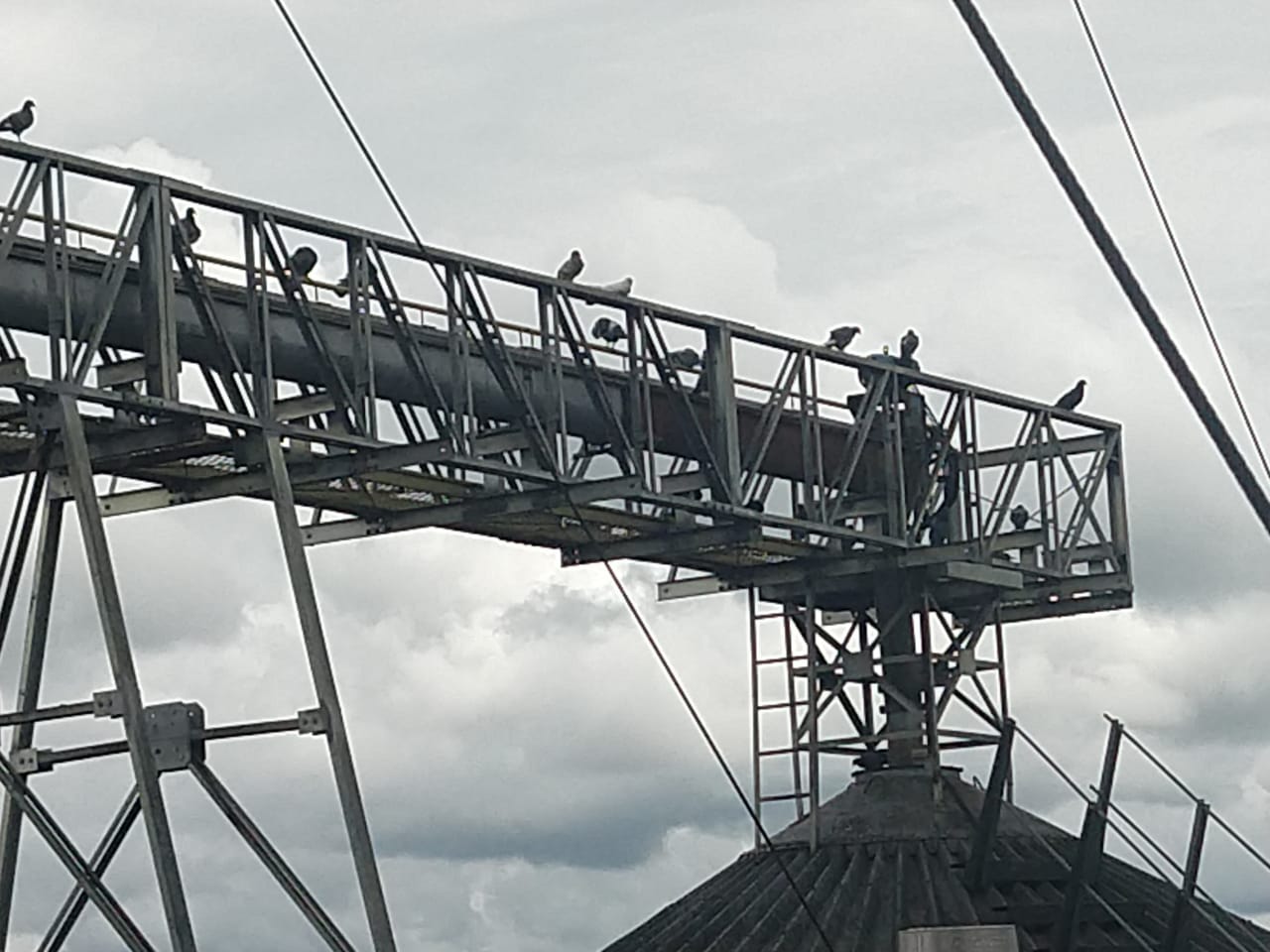 WhatsApp Image 2019-02-18 at 13.52.08 (1).jpeg