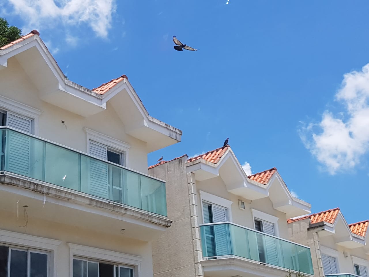 WhatsApp Image 2018-12-20 at 13.10.56.jpeg