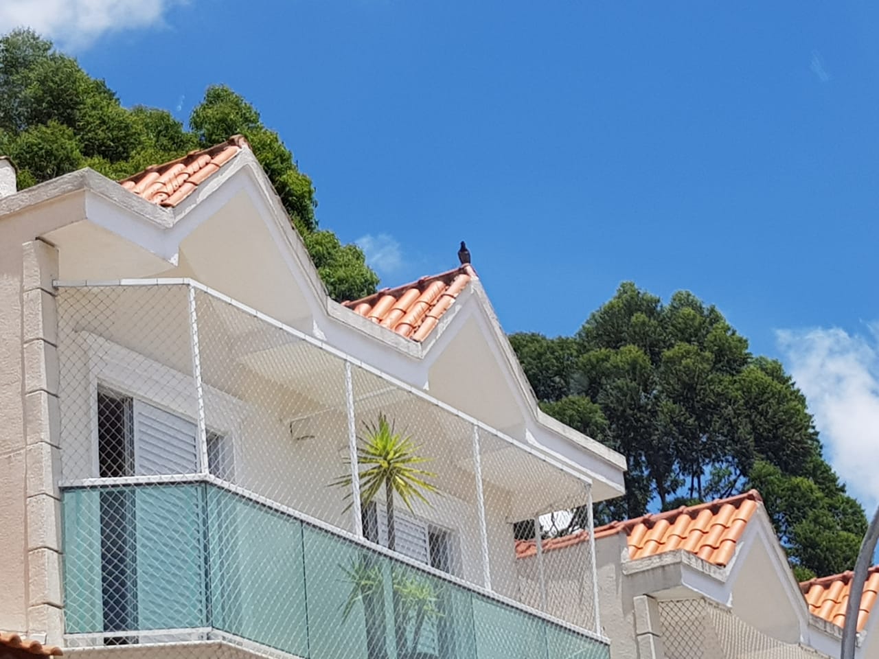 WhatsApp Image 2018-12-20 at 13.08.50.jpeg