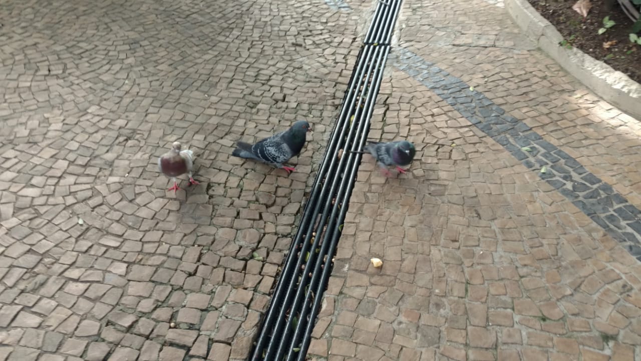 WhatsApp Image 2019-04-17 at 17.03.05.jpeg