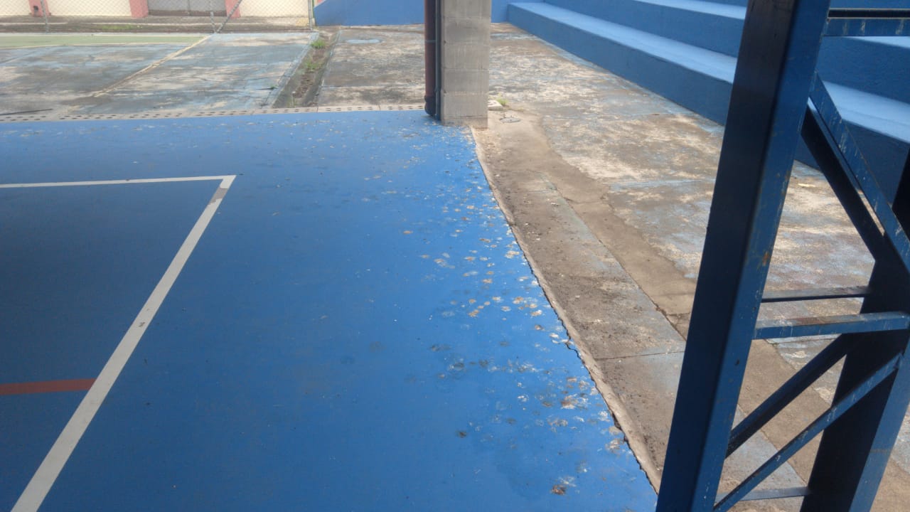 WhatsApp Image 2019-02-14 at 10.42.26.jpeg