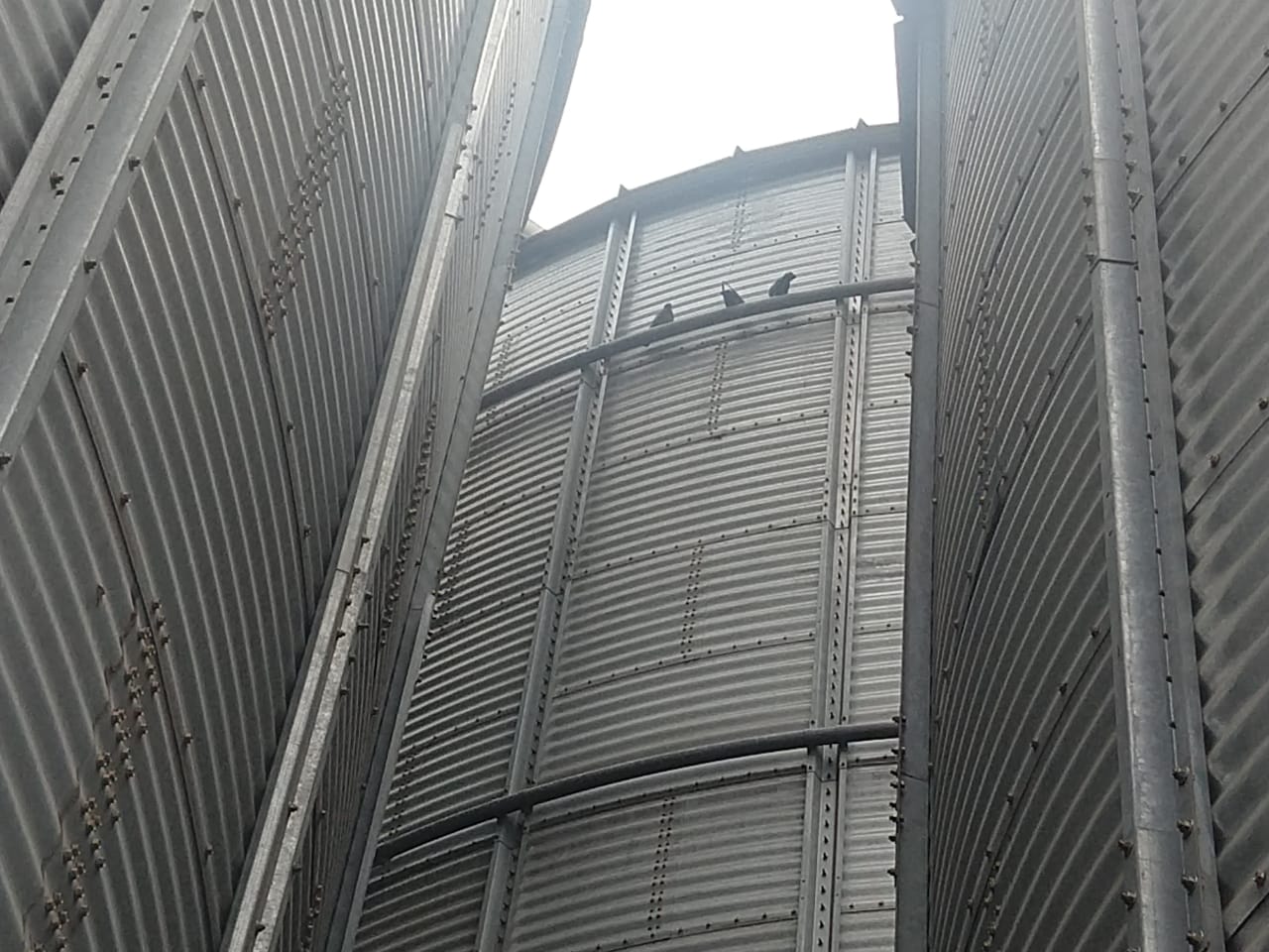 WhatsApp Image 2019-02-18 at 13.52.10.jpeg