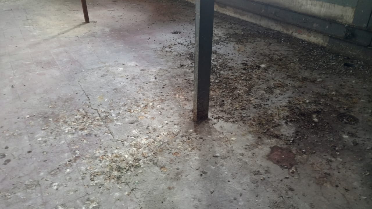 WhatsApp Image 2019-04-17 at 11.08.04.jpeg