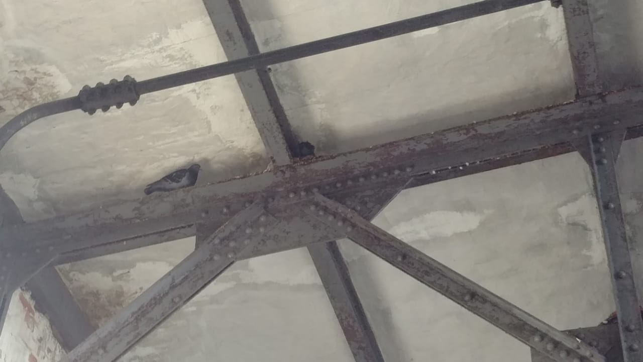 WhatsApp Image 2019-04-17 at 11.05.49.jpeg